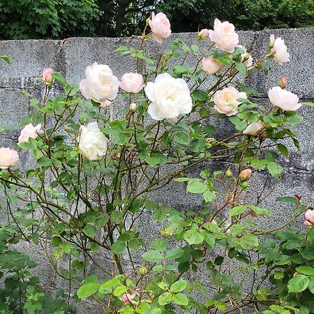 スライゴ Ballure Houseヴィラ エクステリア 写真